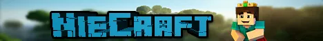 SteveJet